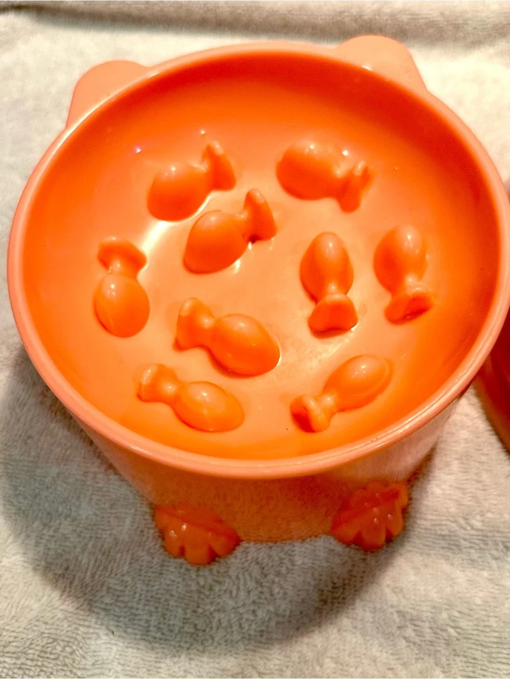 New pet water and slow feeder dish Bowl Set - for cat or dog 🐕